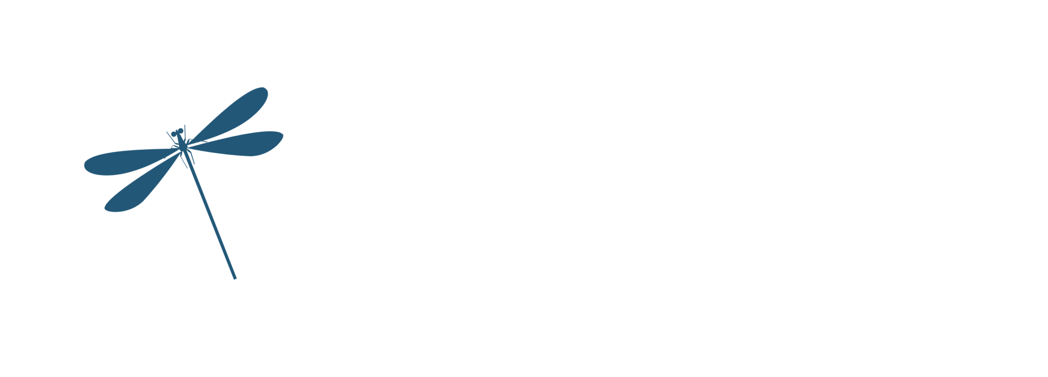 Authentic Physician Healthcare